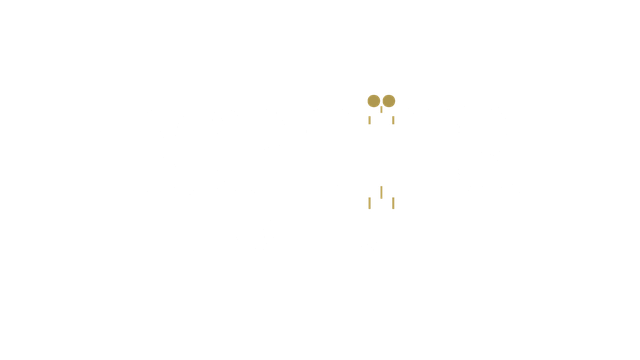 Toptier Institute